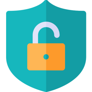 Cyber Security